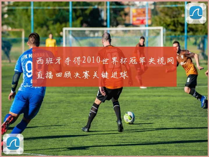 西班牙夺得2010世界杯冠军央视网直播回顾决赛关键进球