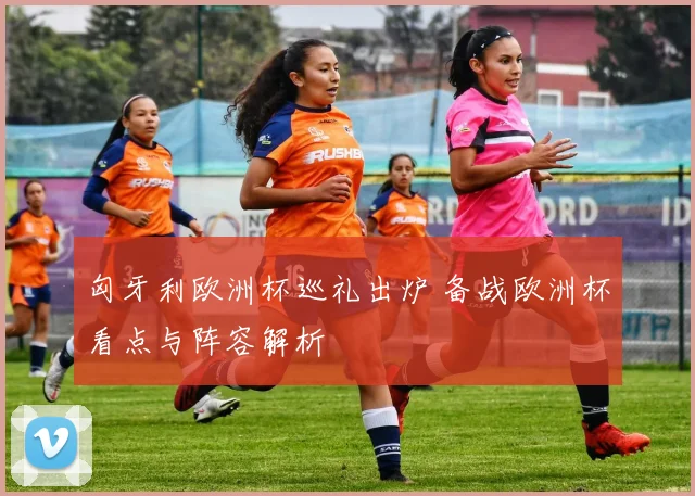 匈牙利欧洲杯巡礼出炉 备战欧洲杯看点与阵容解析