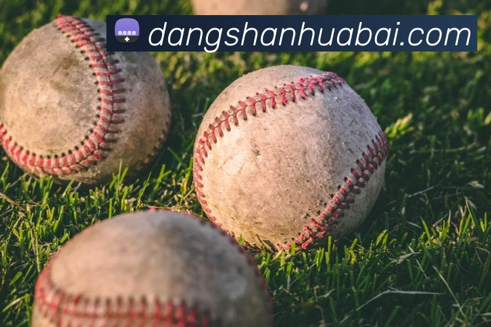 世界杯官方网络平台APP 高清赛事图